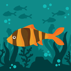 Poster - clownfish undersea scene