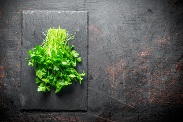 Poster - Healthy food. Fresh parsley.