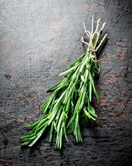 Poster - Fragrant bunch of fresh rosemary.