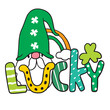 Cartoon cute St patrick's day Gnome character vector.