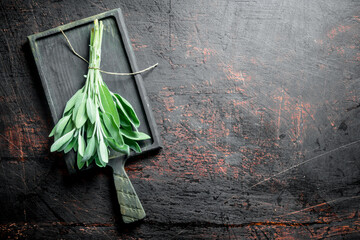 Wall Mural - Bunch of fresh salvia on the cutting Board.