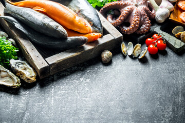 Poster - A variety of fresh fish, octopus and oysters.