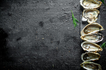 Sticker - Seafood. Raw Opened oysters on a stone stand.