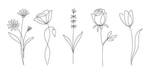 Aufkleber - Flower set continuous outline style. Decoration flower, botanical floral element, blossom one line art for wedding, spring concept background. Vector illustration
