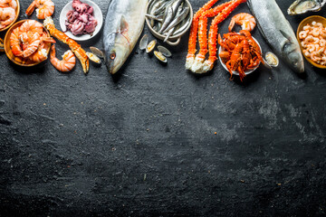 Wall Mural - Assortment of various fresh seafood.