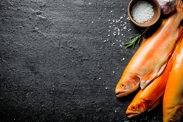 Canvas Print - Raw trout with garlic head and salt.