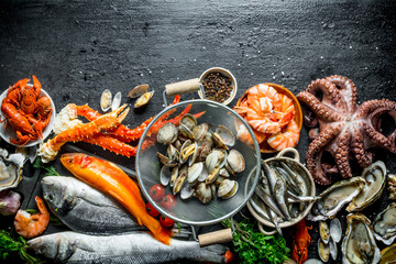 Wall Mural - Assortment of various fresh seafood.
