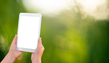 Wall Mural - Digital tablet in hands on a green background