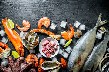 Wall Mural - Various seafood with ice.