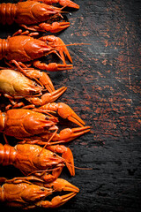 Wall Mural - Delicious cooked crayfish.