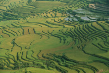 Aerial View Of Terraced Rice Paddies Near Yuan Yang, China.