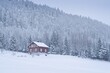 Scandinavian house on a forested and snow-covered slope