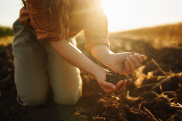 Female hands checking soil health before growth a seed of vegetable or plant seedling. Business or ecology concept.