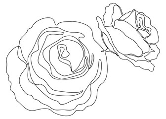 Poster - One continuous line of rose. Thin Line Illustration vector concept. Contour Drawing Creative ideas.