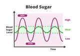 Fototapeta  - Blood sugar chart isolated on a white background. Blood sugar balance levels, blood sugar roller coaster, diabetes. Normal or ideal, low and high unstable levels with spike and crash.