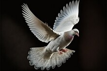 White Dove In Flight, Ai Generated