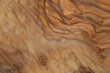 Olive wood texture background. Vintage wood. Surface of texture with natural pattern. Close up cross section of tree texture background.