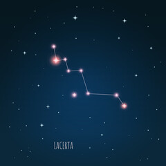 Wall Mural - constellation lacerta scheme in starry sky. open space. vector illustration, constellation through a
