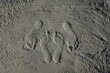 Stopy na piasku, odcisk stóp, polskie morze, nad morzem, wakacje, para stóp, stopy, podologia. Feet, feet on the sand, holidays, at the seaside, 
