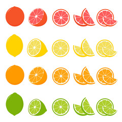 Wall Mural - big vector set of citrus fruits.orange,lemon,grapefruit, and lime icons on white background