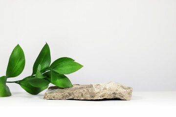 Wall Mural - creative layout of colorful riskus leaves on a white background in the rays of the sun, with shadows