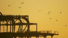 Top Of Brighton Ruined West Pier, Pan Left Across Dilapidated Frame, Birds Perched Evening Light Silhouette
