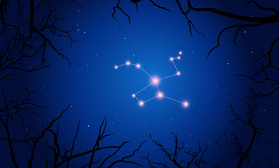 Wall Mural - vector illustration lepus constellation. tree branches, dark blue starry sky