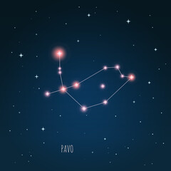 Wall Mural - constellation scheme in starry sky. open space. vector illustration pavo constellation through a tel