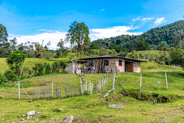 nature in the mountain landscape of Colombia