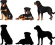Rottweiler silhouettes. Laying, sitting, standing dog. Cute brown dogs characters in various poses, design for print, cute cartoon vector set, in different poses. One color design.Small retriever dog.