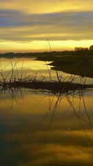 Wall Mural - beautiful morning river landscape at dawn. vertical video