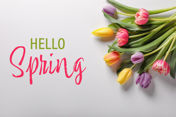 Wall Mural - Hello Spring card. Beautiful colorful tulips on light grey background, top view
