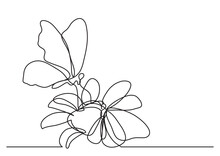 Continuous Line Drawing Vector Illustration With FULLY EDITABLE STROKE Of Two Butterflies On Flowers