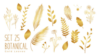 Wall Mural - collection of isolated golden leaves on white banner