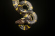 A Lycodon travancoricus aka travancore wolf snake resting on a branch inside Agumbe rain forest during a rainy evening