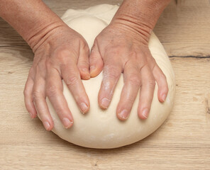 Wall Mural - Hand kneading flour dough.