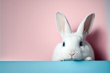 Cute Easter Rabbit Sticking Out Blue Corner On Pink Background With Empty Space For Text Or Product. Currious Small Bunny Symbol Of Spring And Easter