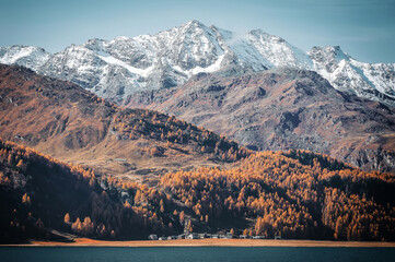 Fototapete - Amazing natural autumn scenery. view of snow capped mountain peak in Switzerland during golden autumn season. Beautiful mountain landscape in Alps with Lake Sils. Amazing Nature background