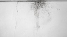 Flooding Rainwater Or Floor Heating Systems, Causing Damage, Peeling Paint And Mildew.