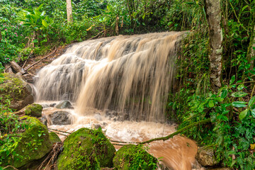 Wall Mural - waterfall with rain water in the rain forest