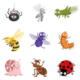 Fototapeta Pokój dzieciecy - Set of bright cute cartoon insects: ladybug, caterpillar, spider, grasshopper, snail, ant