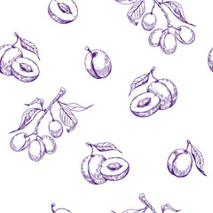 Canvas Print - Plum seamless pattern design. Vintage sketch vector. Easy color change. Transparent background