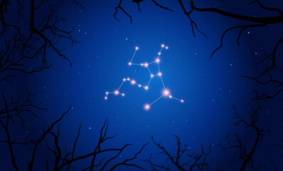 Wall Mural - vector illustration hercules constellation. tree branches, dark blue starry sky