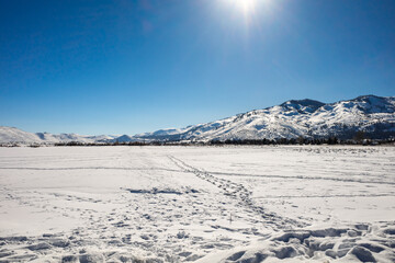 Wall Mural - Snow covered frozen landscape in Washoe Valley between Reno and Carson City Nevada.