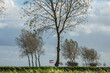 farmers protest with inverted flag between poplars on a windy day in polder Goeree Overflakkee