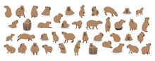 Capybara Collection 1 Cute On A White Background, Vector Illustration. Capybara Is The Largest Rodent.
