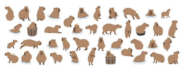 Wall Mural - capybara collection 1 cute on a white background, vector illustration. capybara is the largest rodent.