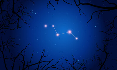 Wall Mural - vector illustration vulpecula constellation. tree branches, dark blue starry sky