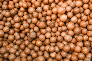 Canvas Print - macadamia nuts texture background, fresh natural shelled raw macadamia nuts in a full frame, close up pile of roasted macadamia nut - top view