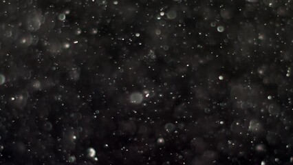 Wall Mural - Abstract background with animation of flying and flickering particles as bokeh of light. Animation of seamless loop.Dust bubbles snow animation.Bokeh Shiny Particles Loop Animation.